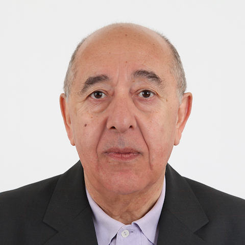 portrait de Nadji Safir