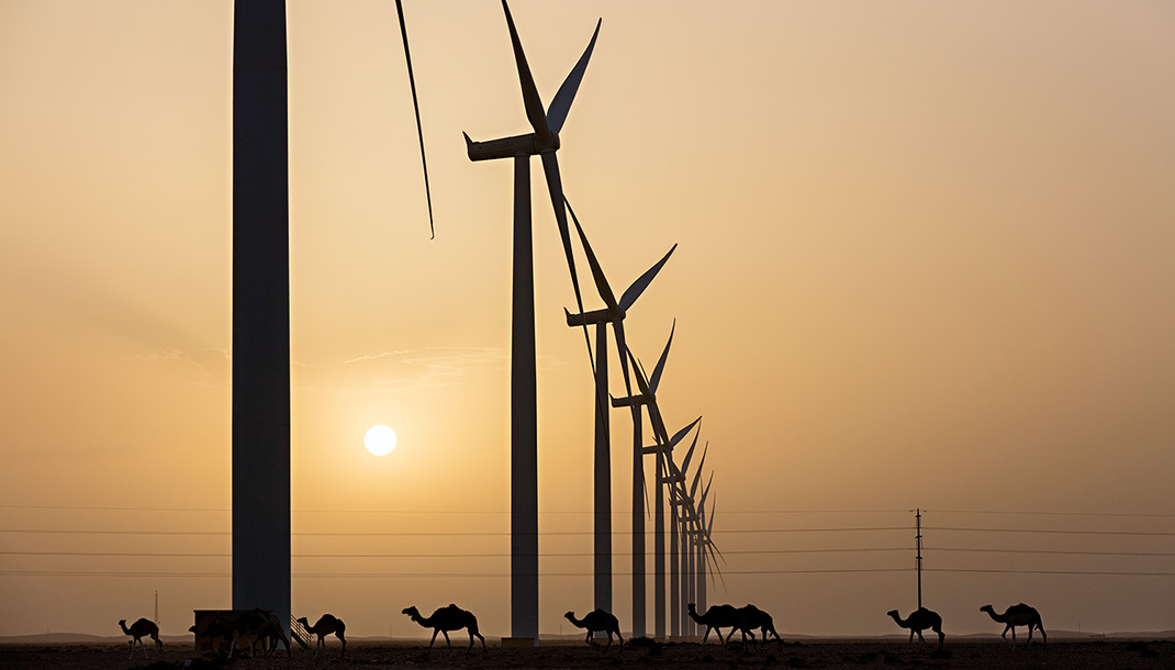 centrale éolienne dans le désert avec des dromédaires sur le fond au coucher de soleil