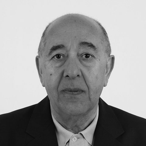 Portrait de Nadji Safir