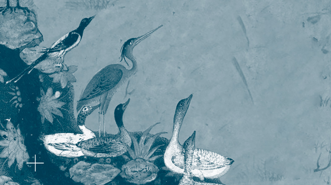 Couverture du livre de Lucie Azema "Une saison à Téhéran" (Les corps conducteurs, 2026)