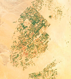 Champs vus depuis la Station spatiale internationale dans la vallée de Sirhan en Arabie près de la ville de Sakaka