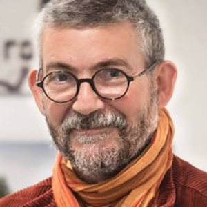 Dominique Vidal_carré